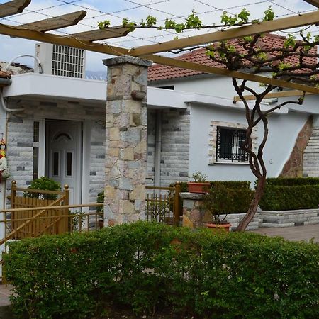 Vila Ss Kekezi Villa Gjirokastër Екстериор снимка
